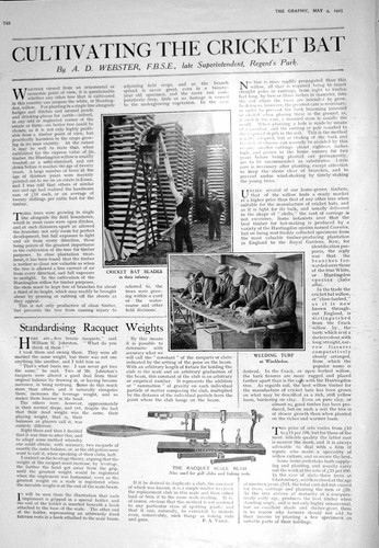 Old 1925 cultivating cricket - old,