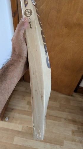Pro vintage cricket bat - ss,