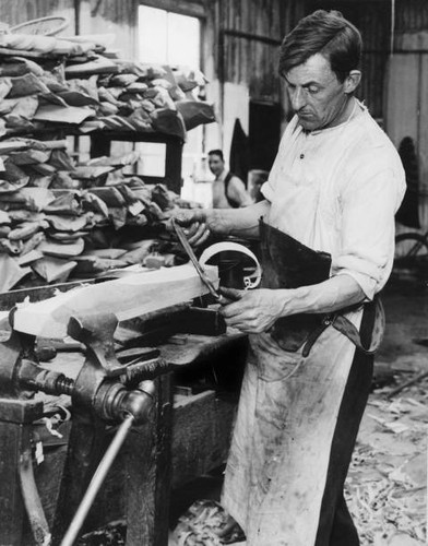 Cricket bat making - making, april
