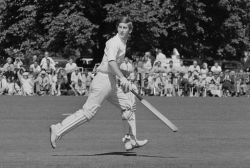 Old large cricket photo prince - old,