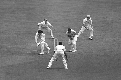 Old 1953 cricket photo - old,