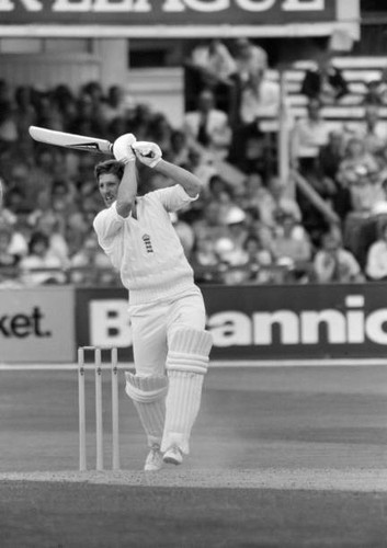 Old large cricket photo ian - old,
