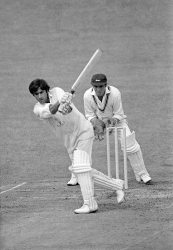 Old large cricket photo - cricket,