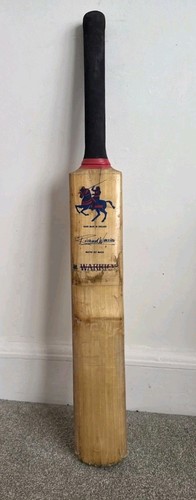 Richard wensley warrior adult - wensley,